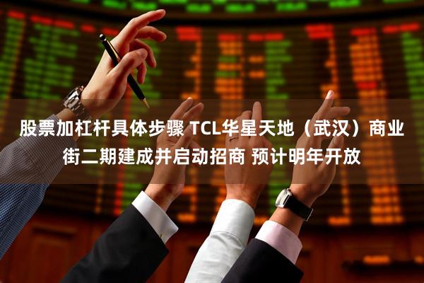股票加杠杆具体步骤 TCL华星天地（武汉）商业街二期建成并启动招商 预计明年开放